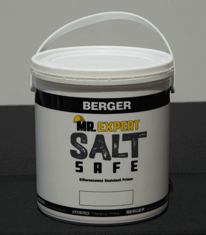 Berger Mr Expert Salt Safe