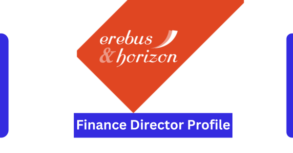 Director Finance Profile